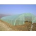 Италиански найлон 120 микрона с UV защита  Зеленикав - по размер